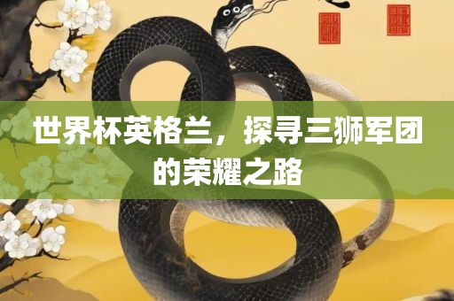世界杯英格兰，探寻三狮军团的荣耀之路