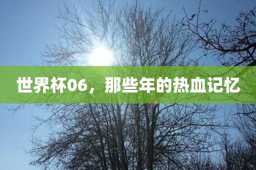 世界杯06，那些年的热血记忆
