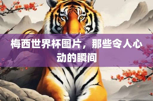 梅西世界杯图片，那些令人心动的瞬间眉山市正发家政服务有限公司