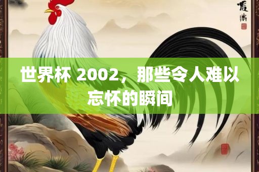 世界杯 2002，那些令人难以忘怀的瞬间