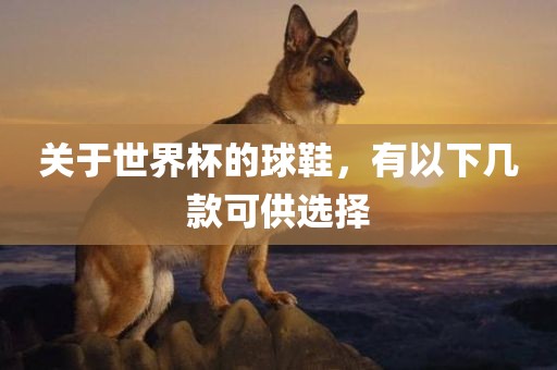 关于世界杯的球鞋，有以下几款可供选择
