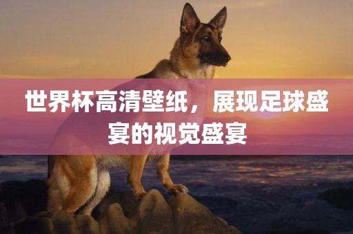 世界杯高清壁纸，展现足球盛宴的视觉盛宴