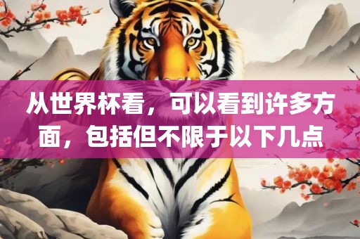 从世界杯看，可以看到许多方面，包括但不限于以下几点