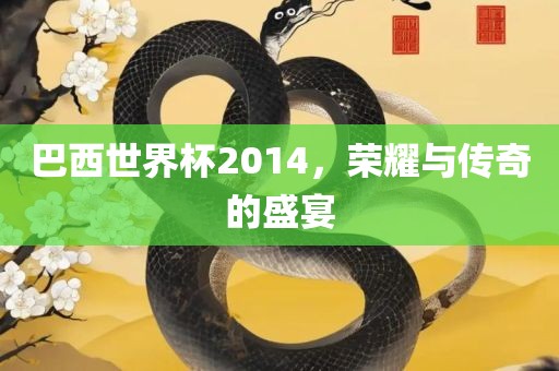 巴西世界杯2014，荣耀与传奇的盛宴