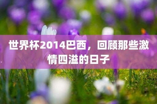 世界杯2014巴西，回顾那些激情四溢的日子