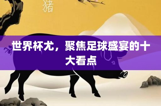 世界杯尤，聚焦足球盛宴的十大看点