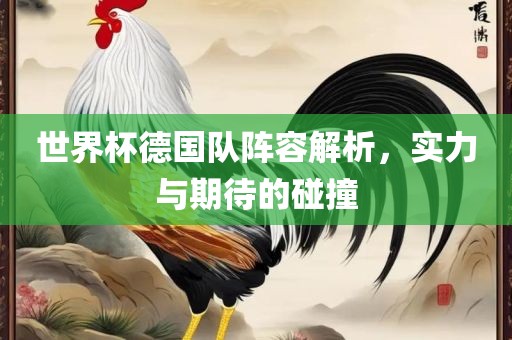 世界杯德国队阵容解析，实力与期待的碰撞
