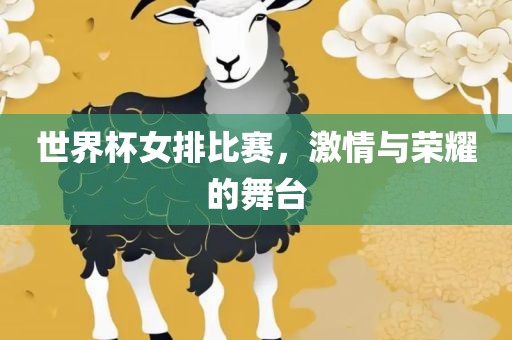 世界杯女排比赛，激情与荣耀的舞台