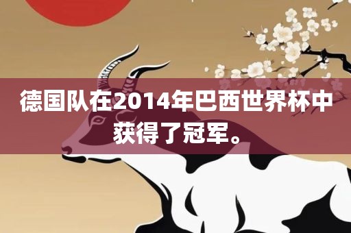 德国队在2014年巴西世界杯中获得了冠军。