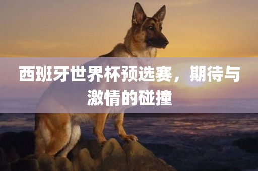 西班牙世界杯预选赛，期待与激情的碰撞