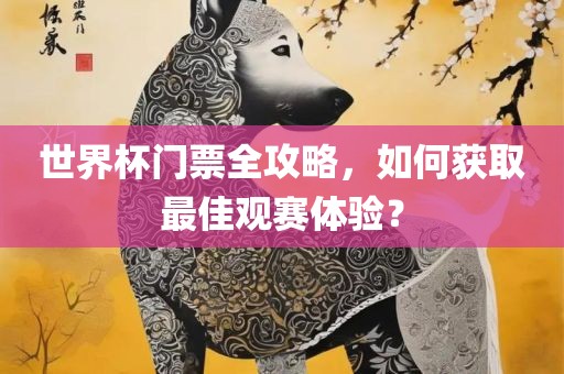 世界杯门票全攻略，如何获取最佳观赛体验？