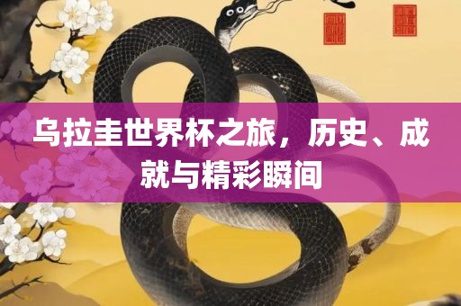 乌拉圭世界杯之旅，历史、成就与精彩瞬间