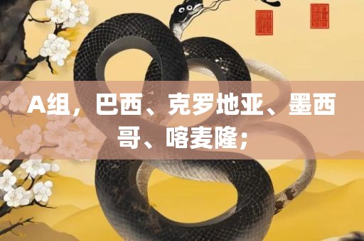 A组，巴西、克罗地亚、墨西哥、喀麦隆；