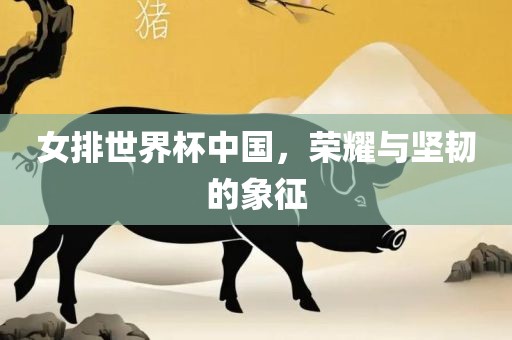 女排世界杯中国，荣耀与坚韧的象征