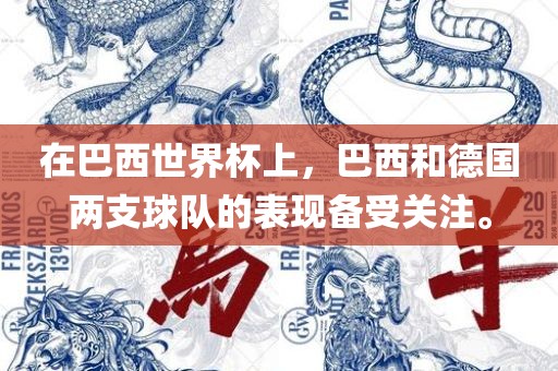 在巴西世界杯上，巴西和德国两支球队的表现备受关注。