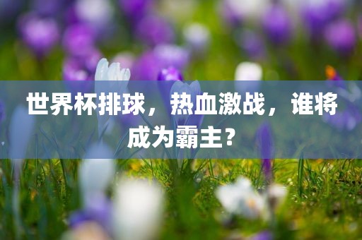 世界杯排球，热血激战，谁将成为霸主？