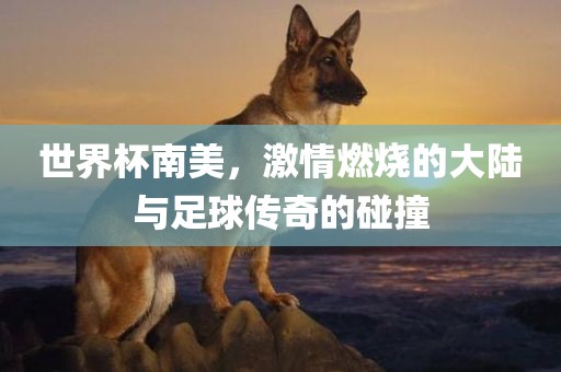 世界杯南美，激情燃烧的大陆与足球传奇的碰撞