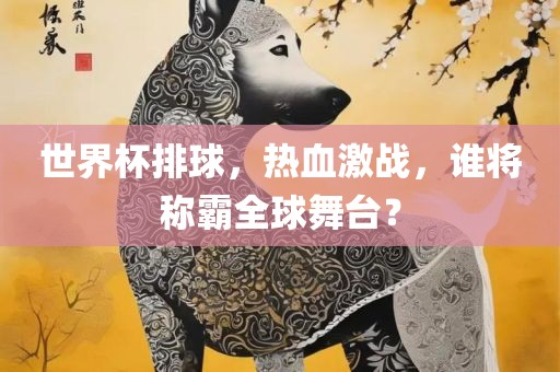 世界杯排球