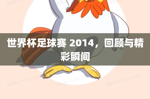 世界杯足球赛 2014，回顾与精彩瞬间
