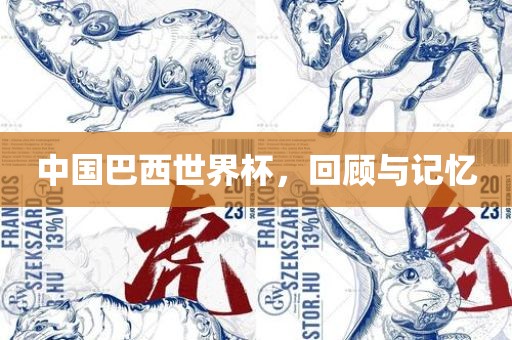 中国巴西世界杯，回顾与记忆