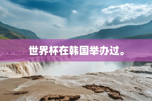 世界杯在韩国举办过。