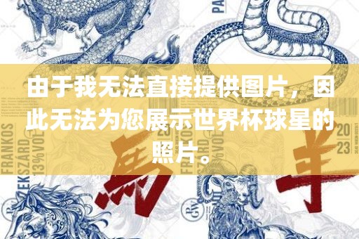 由于我无法直接提供图片，因此无法为您展示世界杯球星的照片。