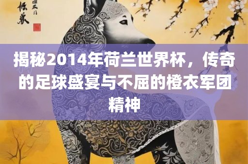 揭秘2014年荷兰世界杯，传奇的足球盛宴与不屈的橙衣军团精神