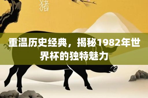 重温历史经典，揭秘1982年世界杯的独特魅力