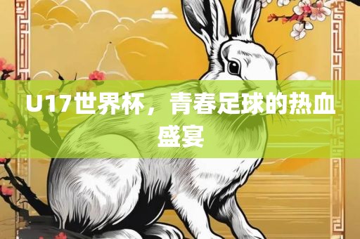 U17世界杯，青春足球的热血盛宴