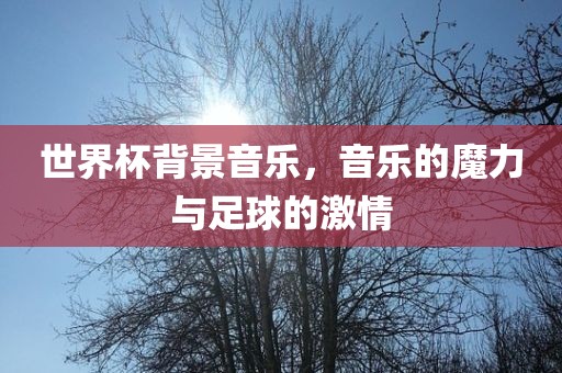 世界杯背景音乐，音乐的魔力与足球的激情