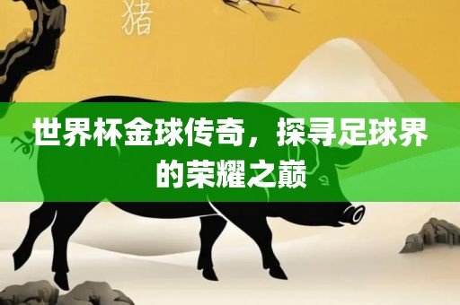 世界杯金球传奇，探寻足球界的荣耀之巅