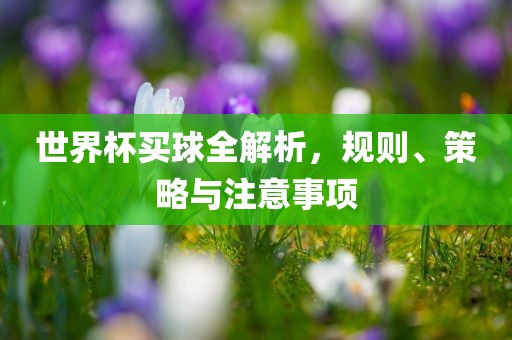 世界杯买球全解析，规则、策略与注意事项