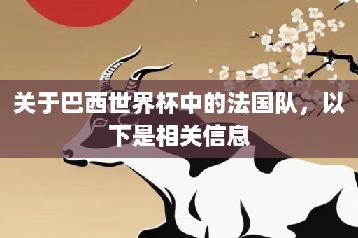 关于巴西世界杯中的法国队，以下是相关信息