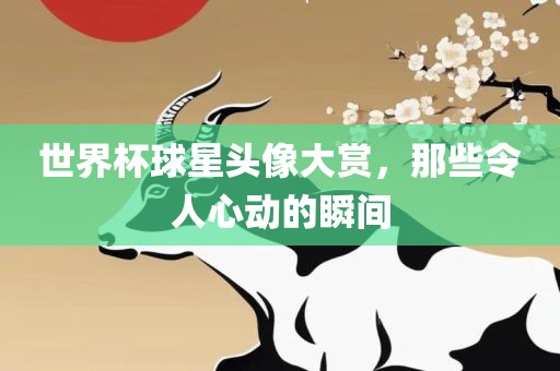 世界杯球星头像大赏，那些令人心动的瞬间