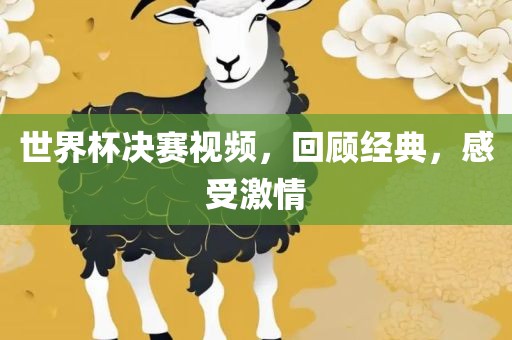 世界杯决赛视频，回顾经典，感受激情