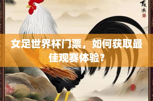 女足世界杯门票，如何获取最佳观赛体验？