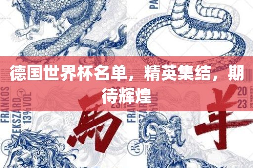德国世界杯名单，精英集结，期待辉煌