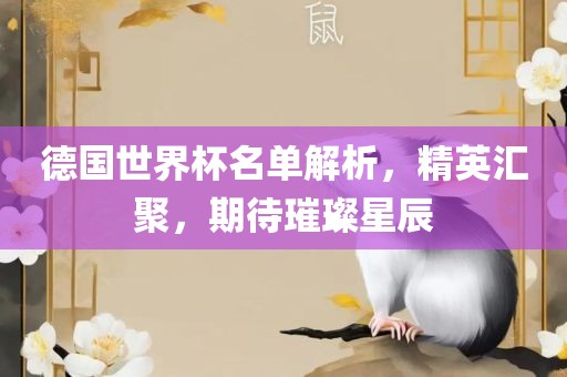德国世界杯名单解析，精英汇聚，期待璀璨星辰