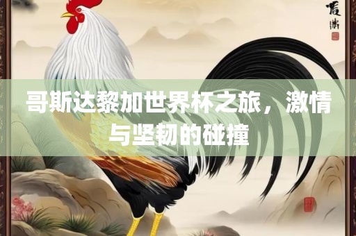 哥斯达黎加世界杯之旅，激情与坚韧的碰撞