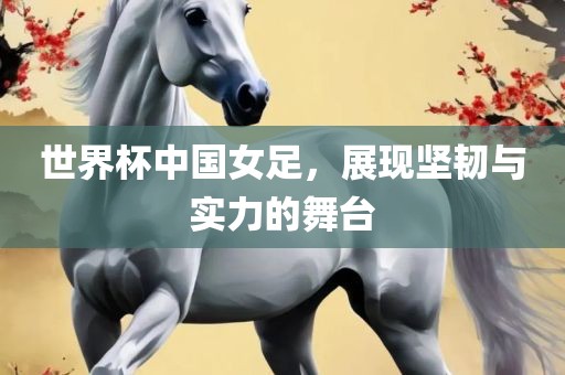 世界杯中国女足，展现坚韧与实力的舞台