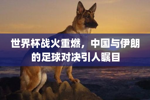 世界杯战火重燃，中国与伊朗的足球对决引人瞩目