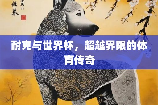 耐克与世界杯，超越界限的体育传奇