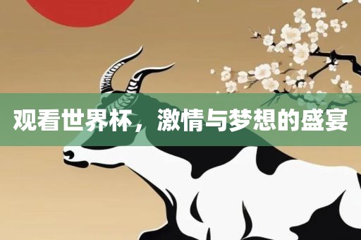 观看世界杯，激情与梦想的盛宴