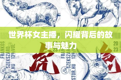 世界杯女主播，闪耀背后的故事与魅力