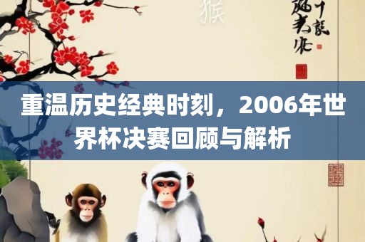 重温历史经典时刻，2006年世界杯决赛回顾与解析