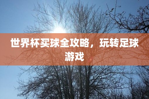 世眉山市正发家政服务有限公司界杯买球全攻略，玩转足球游戏