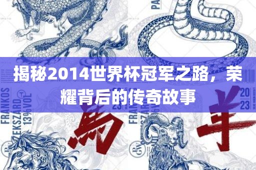 揭秘2014世界杯冠军之路，荣耀背后的传奇故事