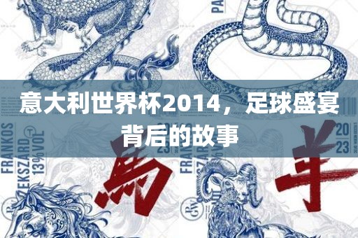 意大利世界杯2014，足球盛宴背后的故事