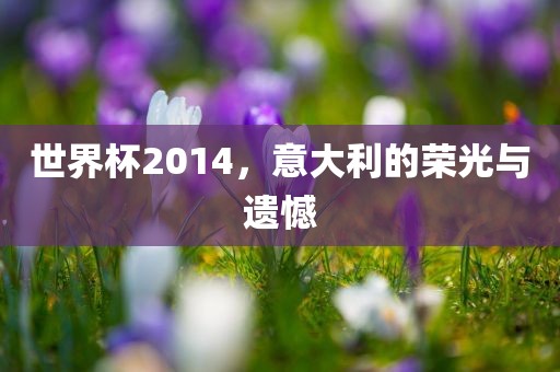 世界杯2014，意大利的荣光与遗憾