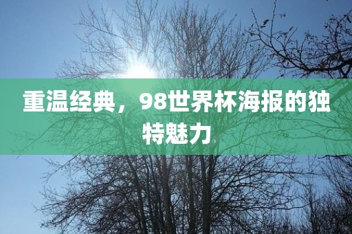 重温经典，98世界杯海报的独特魅力